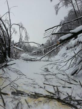 vir PGD Polhov Gradec